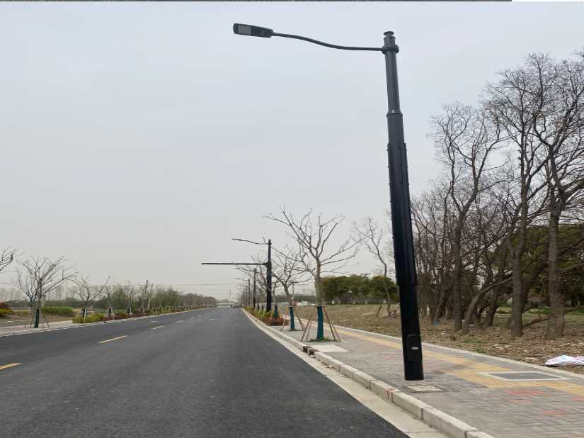 龙湖区上海综合杆 太阳能路灯工程